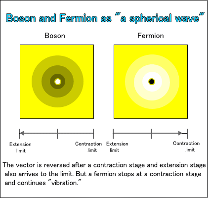 Boson and Fermion as a spherical wave