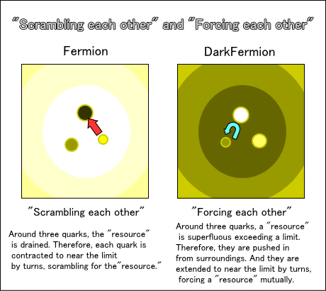 Fermion And DarkFermion