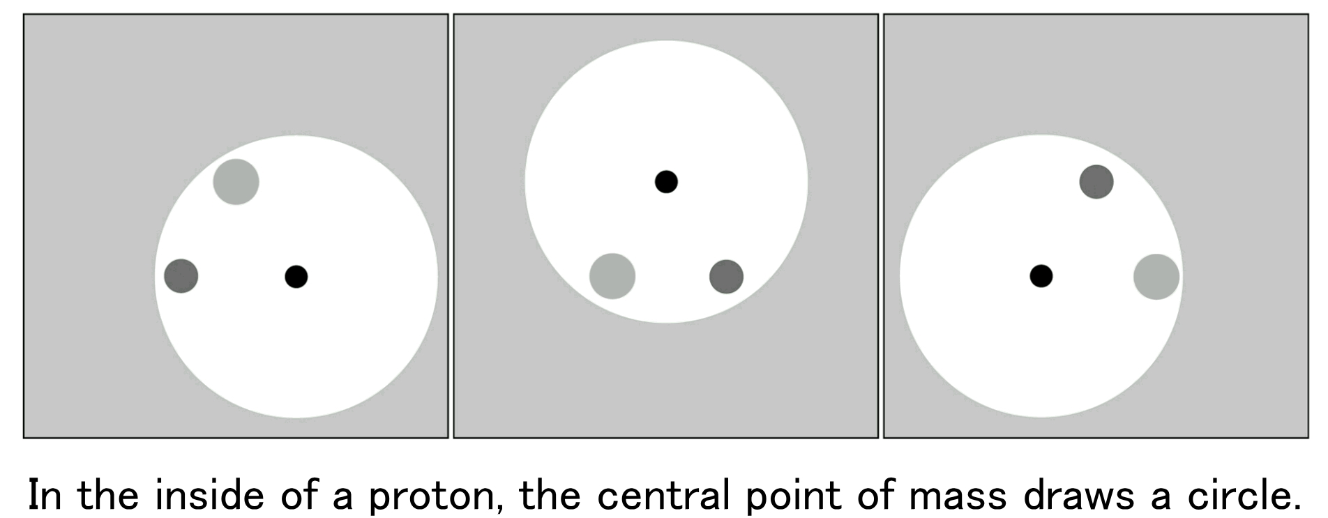 In the inside of a proton, the central point of mass draws a circle.